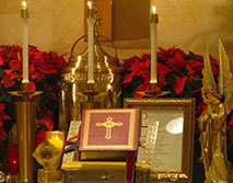 Sacred Heart Tamil Catholic Group